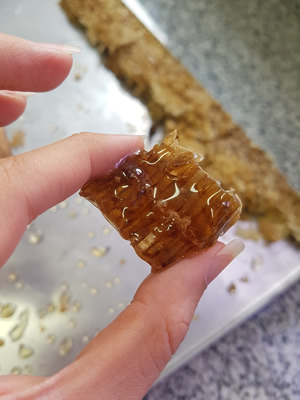 Nicoli Dichoff