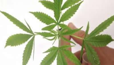 Divulgação / Polícia Federal