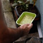 LIRAa de maio orienta ações de prevenção às arboviroses em Mato Grosso do Sul