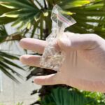 Boletim Epidemiológico: MS registra 6.845 casos confirmados de chikungunya
