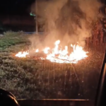Corpo de Bombeiros atende 10 ocorrências em 24h, com destaque para combate a incêndios em vegetação