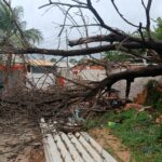 Árvore cai sobre residência em Corumbá; ninguém ficou ferido