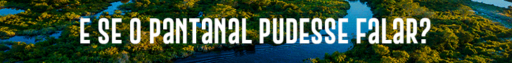 Banner Topo