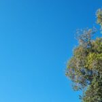 Corumbá amanhece com sol nesta sexta-feira