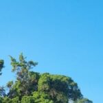 Corumbá amanhece ensolarada e sem previsão de chuva