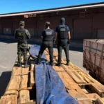Bolívia exige explicações após laudo descartar cocaína em carga de 230 toneladas madeira
