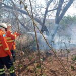 Bombeiros atendem sete incêndios em terrenos baldios em Corumbá e Ladário
