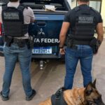 Cão de faro encontra encomenda com substância análoga a LSD durante fiscalização em Corumbá